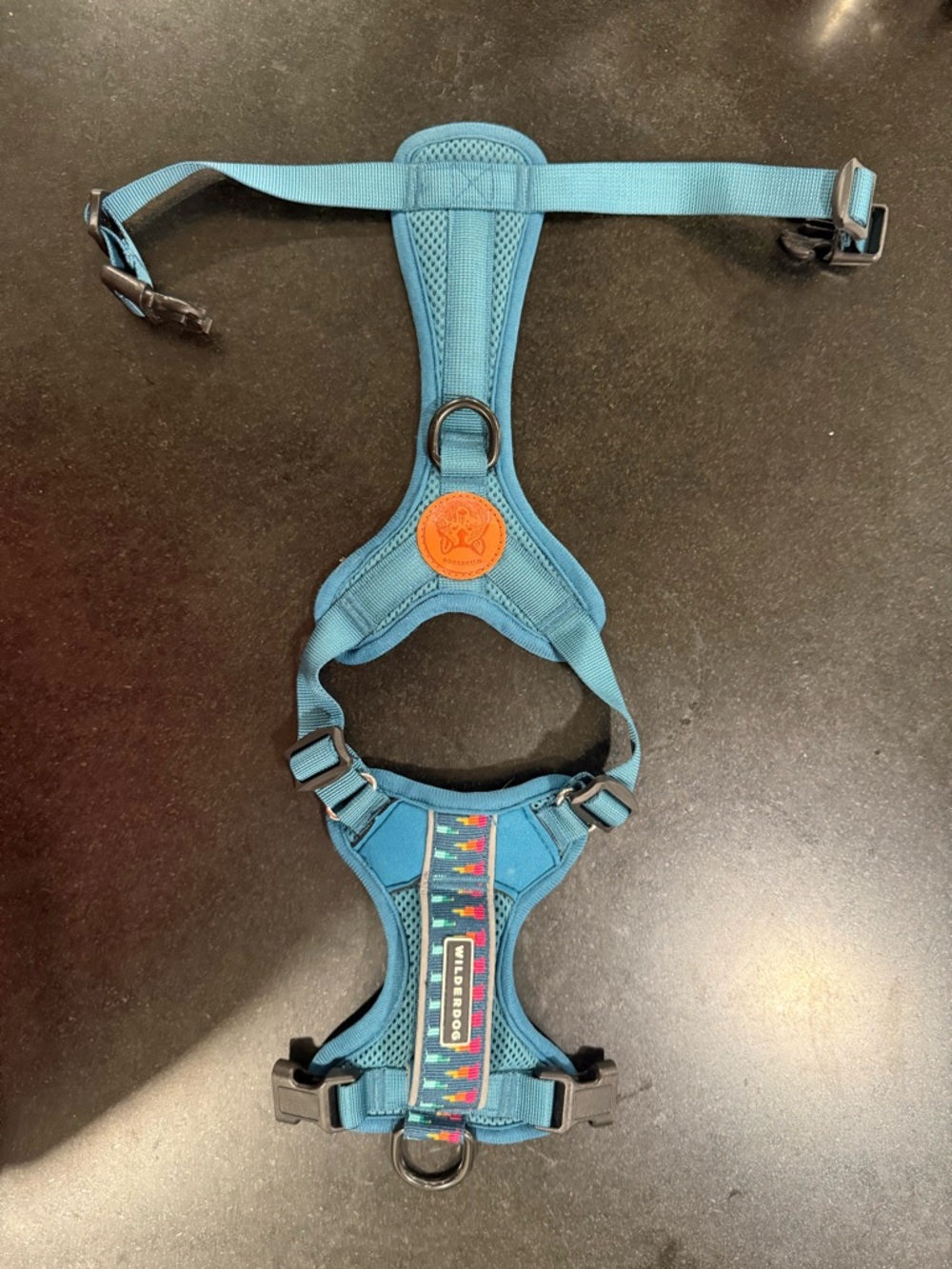 Teal Blue No-Pull Dog Harness with Reflective Detail